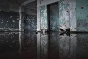 Blog 3 does insurance cover water damage house